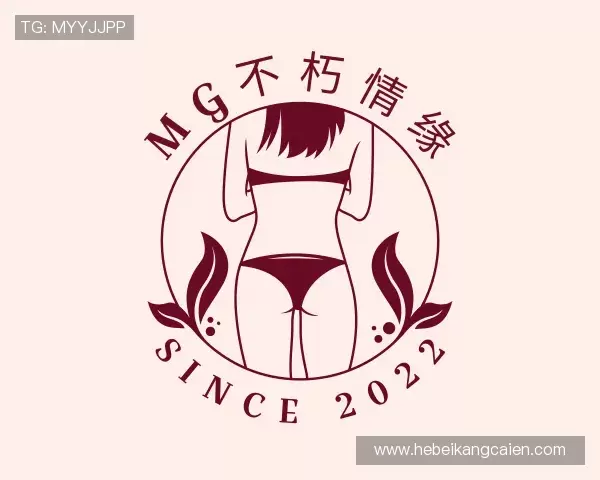 介绍MG电子